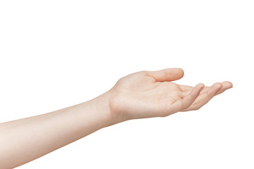 Wall Mural - female teen hand to hold something
