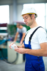 Wall Mural - worker with his wages