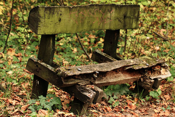 Wall Mural - Old bench