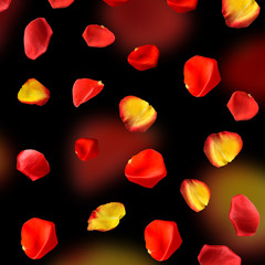 Poster - Falling rose petals