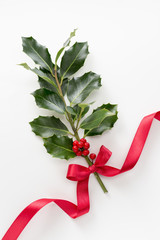 Wall Mural - holly leaves and berries