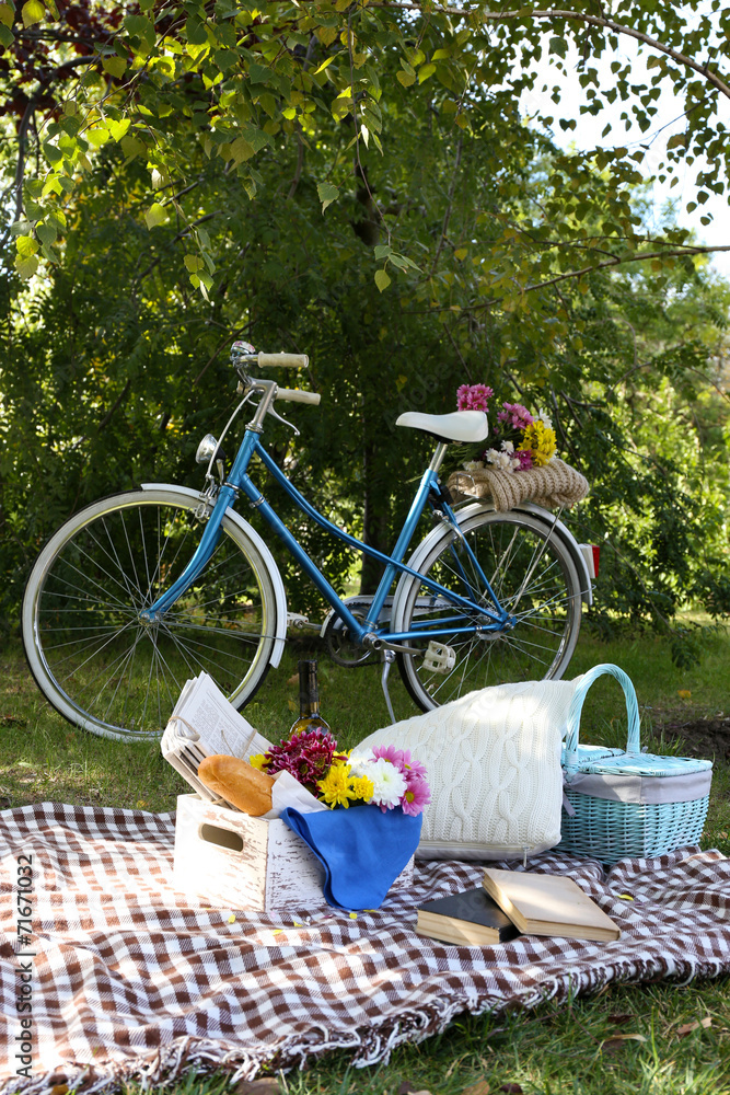 Old bicycle and picnic snack
