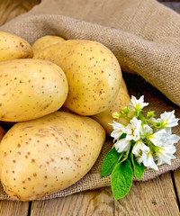 Poster - Potatoes yellow with flower on sackcloth and board