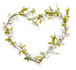 Sticker - heart from cherry tree flowers isolated on white