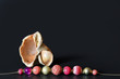 Luxury seashell with coloured pearls isolated on black