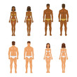 © 7razer - vector young woman and guy in underwear. Body templates