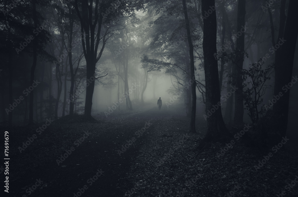 dark forest with spooky man walking on a path - obrazy, fototapety, plakaty 