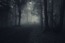 Dark Forest With Spooky Man Walking On A Path