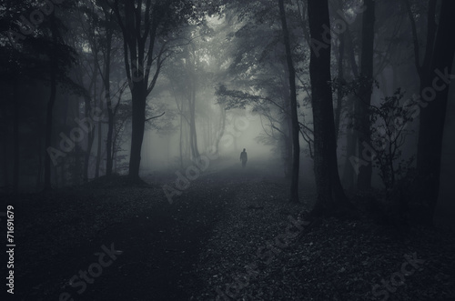 Fotografía dark forest with spooky man walking on a path