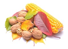 Autumn Aranjament, Colored Leaves, Wallnuts And Corn