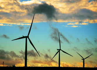 Black silhouettes of wind turbines