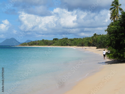 Plage Les Salines Martinique Buy This Stock Photo And