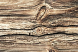 Fototapeta Kwiaty - The old wood texture with natural patterns