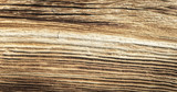 Fototapeta Dmuchawce - The old wood texture with natural patterns