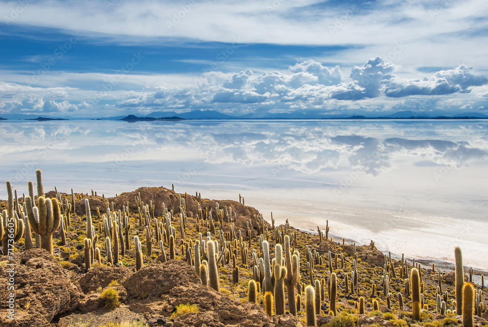 Incahuasi island, Salar de Uyuni, Bolivia - obrazy, fototapety, plakaty 