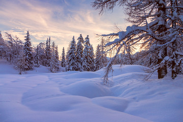 Sticker - winter landscape