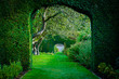 Leinwanddruck Bild - Green plant arches in english countryside garden