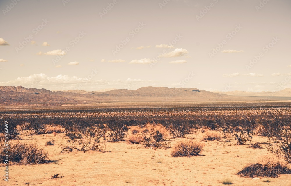 Southern California Desert - obrazy, fototapety, plakaty 
