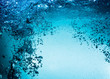 canvas print picture - Close up water