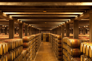 La Rioja Wine Barrels