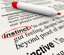 Instinct Dictionary Definition Word Circled Meaning