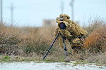 Wall Mural - wildlife photographer outdoor