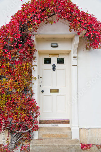 Naklejka na drzwi Front of English House