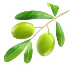 Poster - Isolated olive. Two green olives on a branch with leaves  isolated on white background, with clipping path