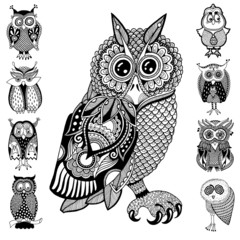 Poster - original artwork of owl, ink hand drawing in ethnic style collec