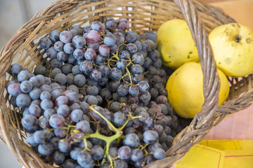 Wall Mural - basket of grapes and apples