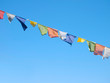 Colorful prayer flags over a clear blue sky in Sikkim, India