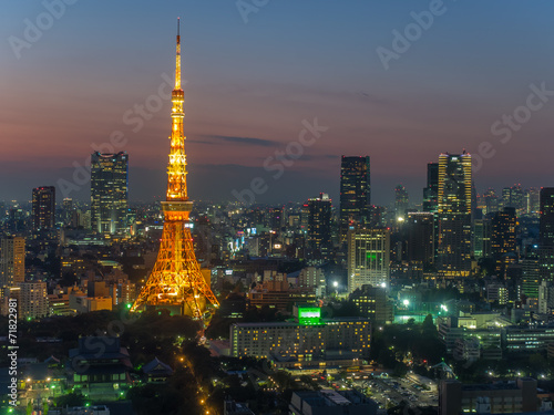 Fotoboard na płycie Tokyo Tower