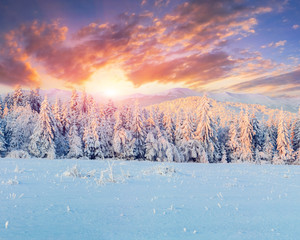 Fototapete - Colorful winter sunrise in the mountains
