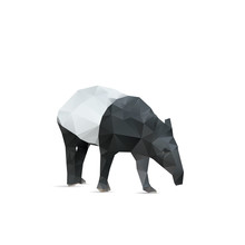Abstract Tapir Isolated On A White Backgrounds