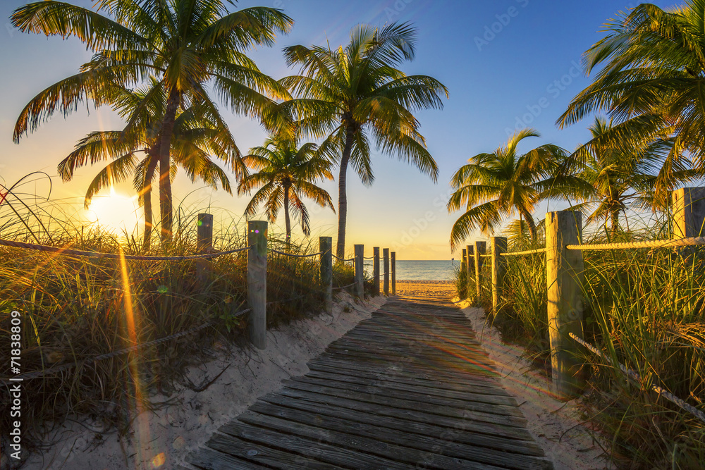 Passage to the beach at sunrise - obrazy, fototapety, plakaty 