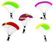 skydivers illustration - vector