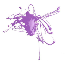 Wall Mural - Splash of purple paint isolated on white