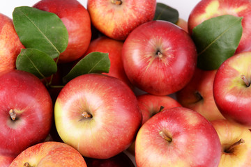 Wall Mural - Ripe red apples close up