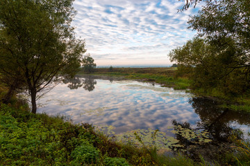 Canvas Print - Bogolyubov meadow. Russia