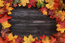 Frame With Autumn Leaves On A Wooden Background