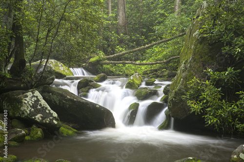 Plakat Relaksujący widok w Great Smoky Mountains