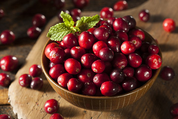 Sticker - Raw Organic Red Cranberries