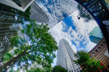 Fototapete - Financial skyscraper buildings in Charlotte North Carolina USA