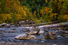 Wilson Creek Autumn 14