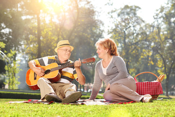 Wall Mural - Senior playing guitar for his wife on a picnic