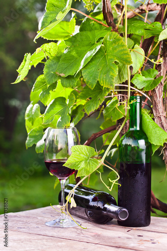 Naklejka samoprzylepna Czerwone wino