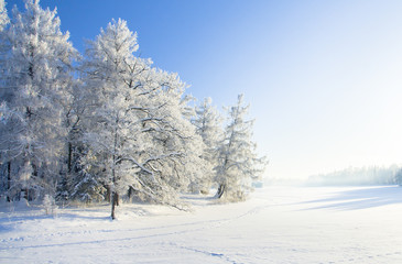 Aufkleber - Winter park in snow
