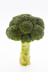 Wall Mural - Broccoli isolated on white