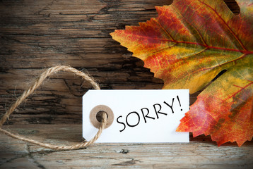 Autumn Background With Label Sorry