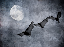 Bats In The Dark Cloudy Sky, Perfect Halloween Background